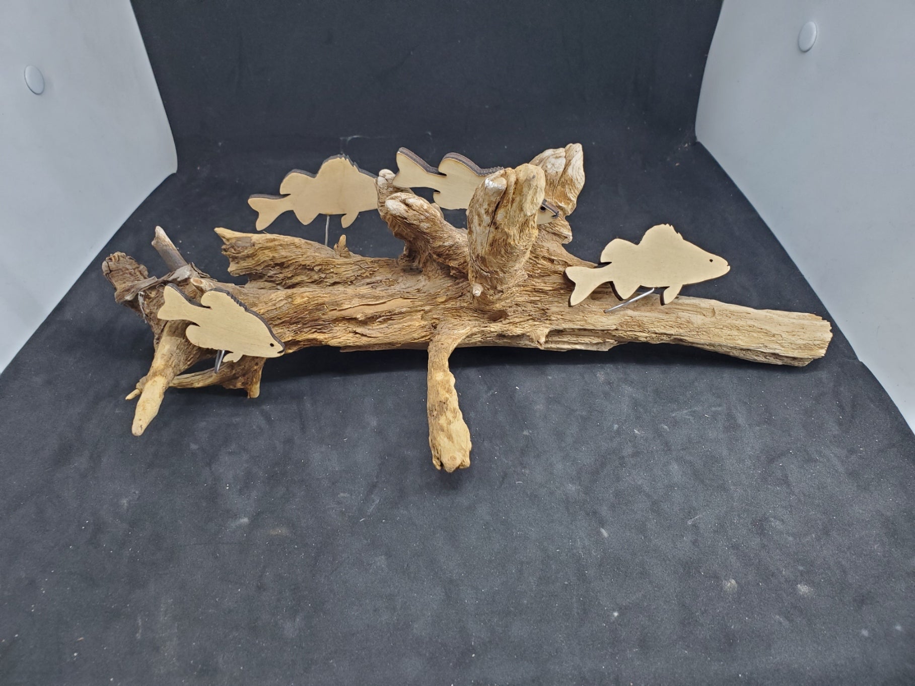 Driftwood Fish - 2402